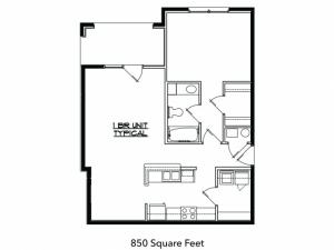 1 Bed 1 Bath