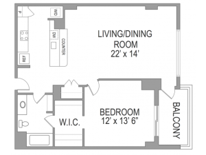 1 Bedroom Arlington Virginia Apartments | Birchwood 3