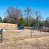 Dog Park