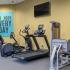 Cutting Edge Fitness Center | Luxury Apartments In Arlington VA | The Amelia
