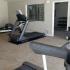 Great Selection of Weights and Cardio Equipment