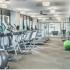 State-of-the-Art Fitness Center | Arlington Virginia Apartments for Rent | Courtland Park