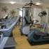 Cutting Edge Fitness Center | Orchard Cove | Roy UT Apartments