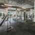 State-of-the-Art Fitness Center | Apartment Homes in Clearwater, FL | The Nolen