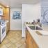 Modern Kitchen | Arlington VA Apartment For Rent | Birchwood