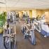 State-of-the-Art Fitness Center | Apartment Homes in Arlington, VA | Wildwood Towers