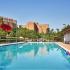 Resort Style Pool | Luxury Arlington VA Apartments | Wildwood Towers